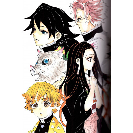 Acheter Demon Slayer Kimetsu No Yaiba Koyoharu Gotouge Artbook En Vo