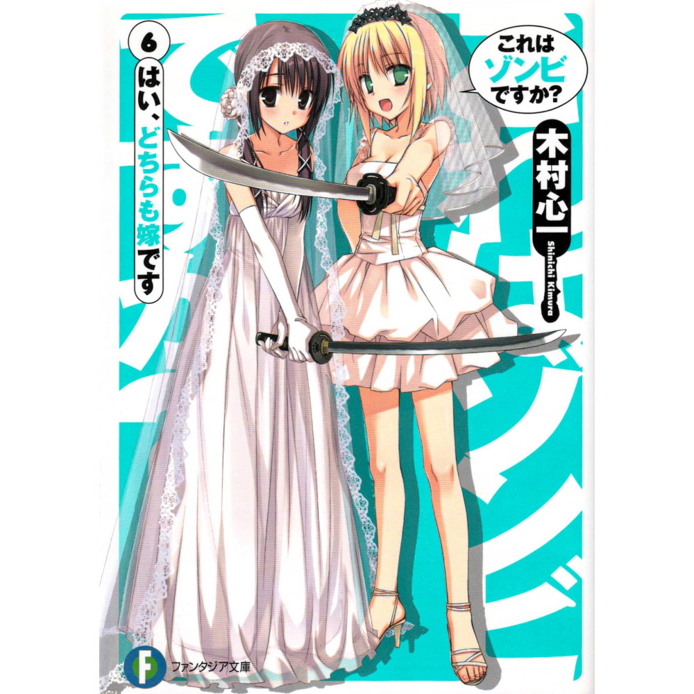 Couverture light novel d'occasion Est-ce un zombie ? Tome 06 en version Japonaise